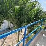 Rocky Palms