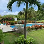 Tropical Garden