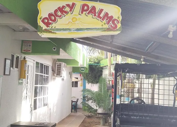 Rocky Palms