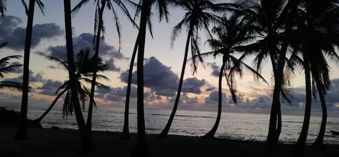Hostal Ocean Green Village *