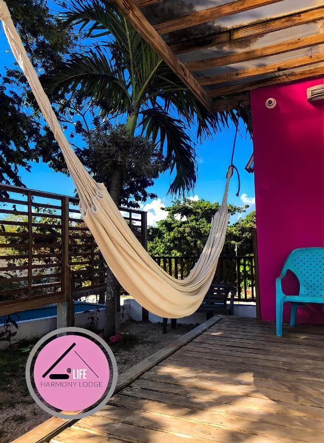 Cabañas Harmony By Alife