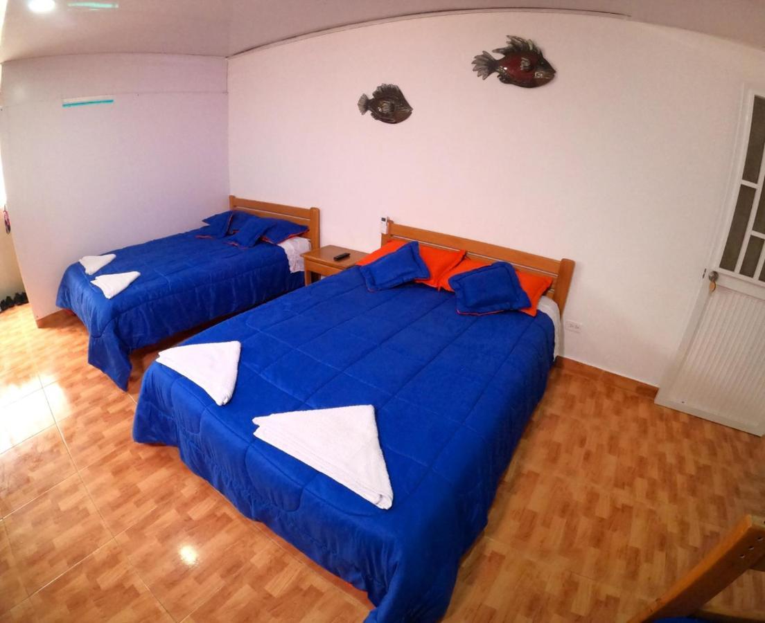 Viaja Con Ganas Colibri Hotel