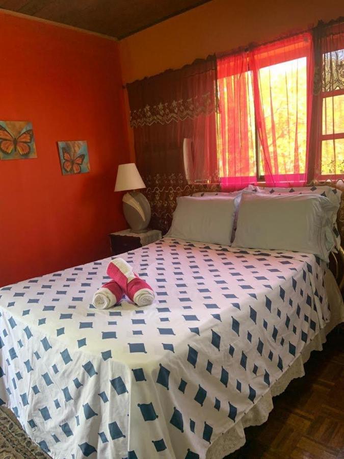 Nativa Trinsan Campestre 2*