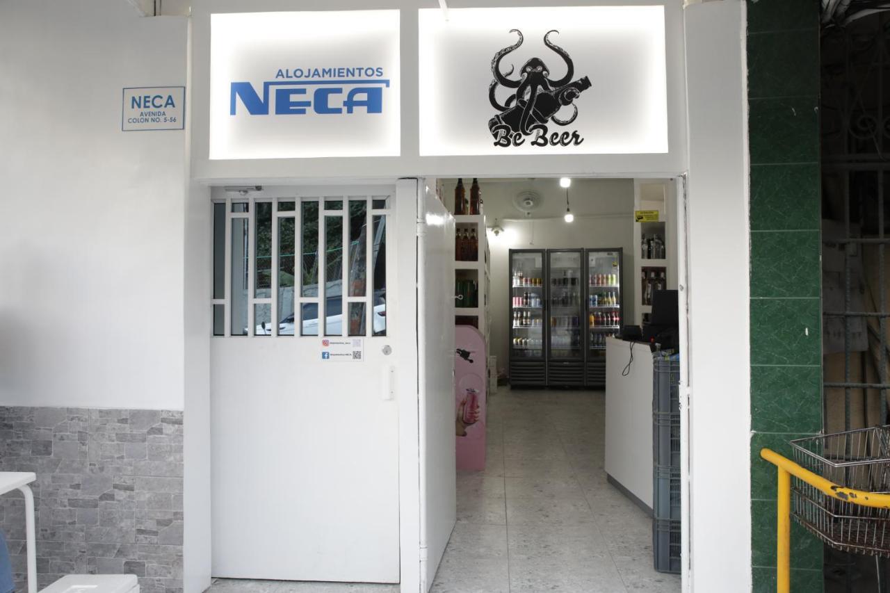 Neca San Andrés