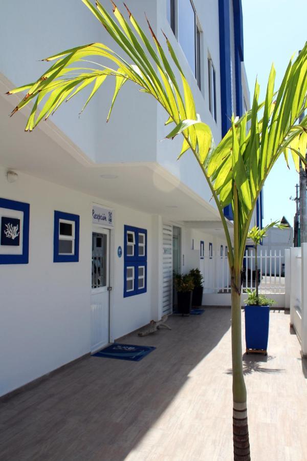 Apartahotel White Coral Apartasuites