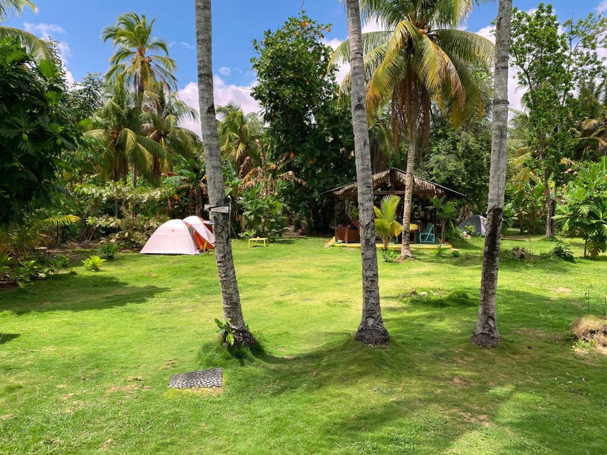 Camping Camping