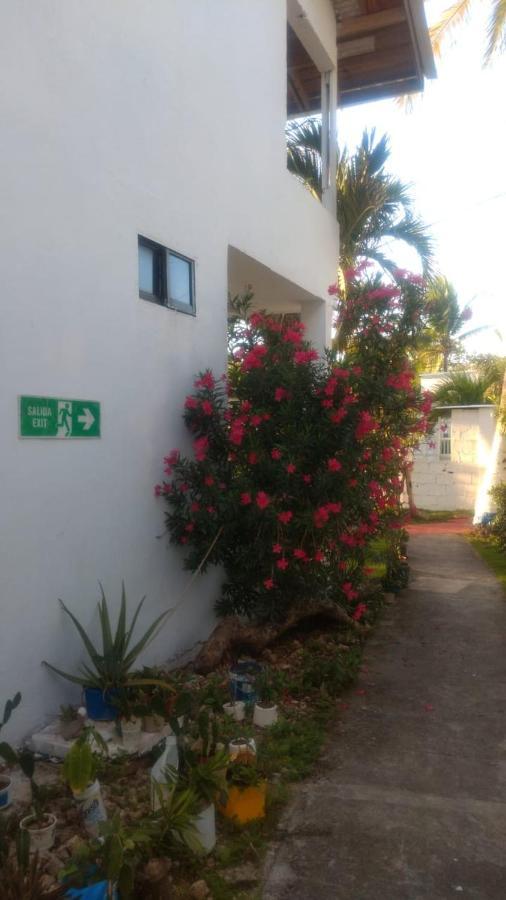 Casa De Polita *