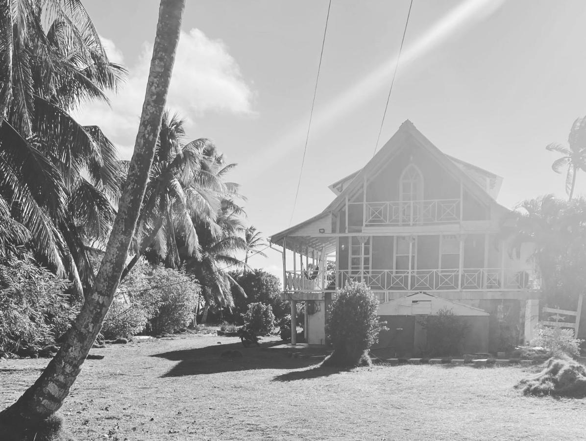 Islander House On Rocky Cay Inn