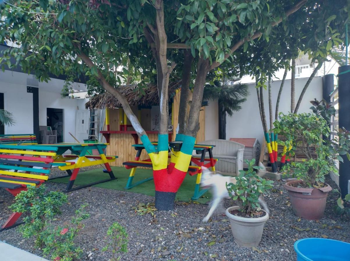 El Galy Su Familiar * San Andrés