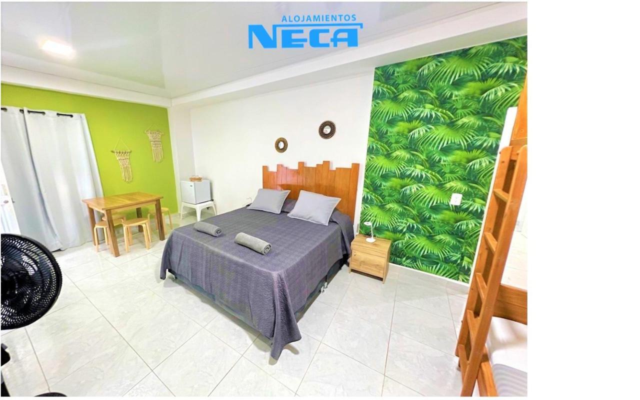Pensión Neca *