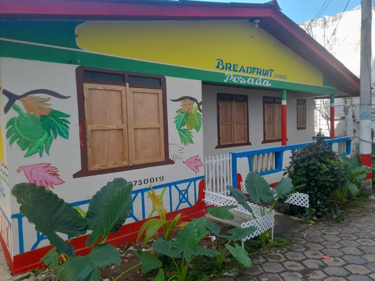 Breadfruit Apartamento