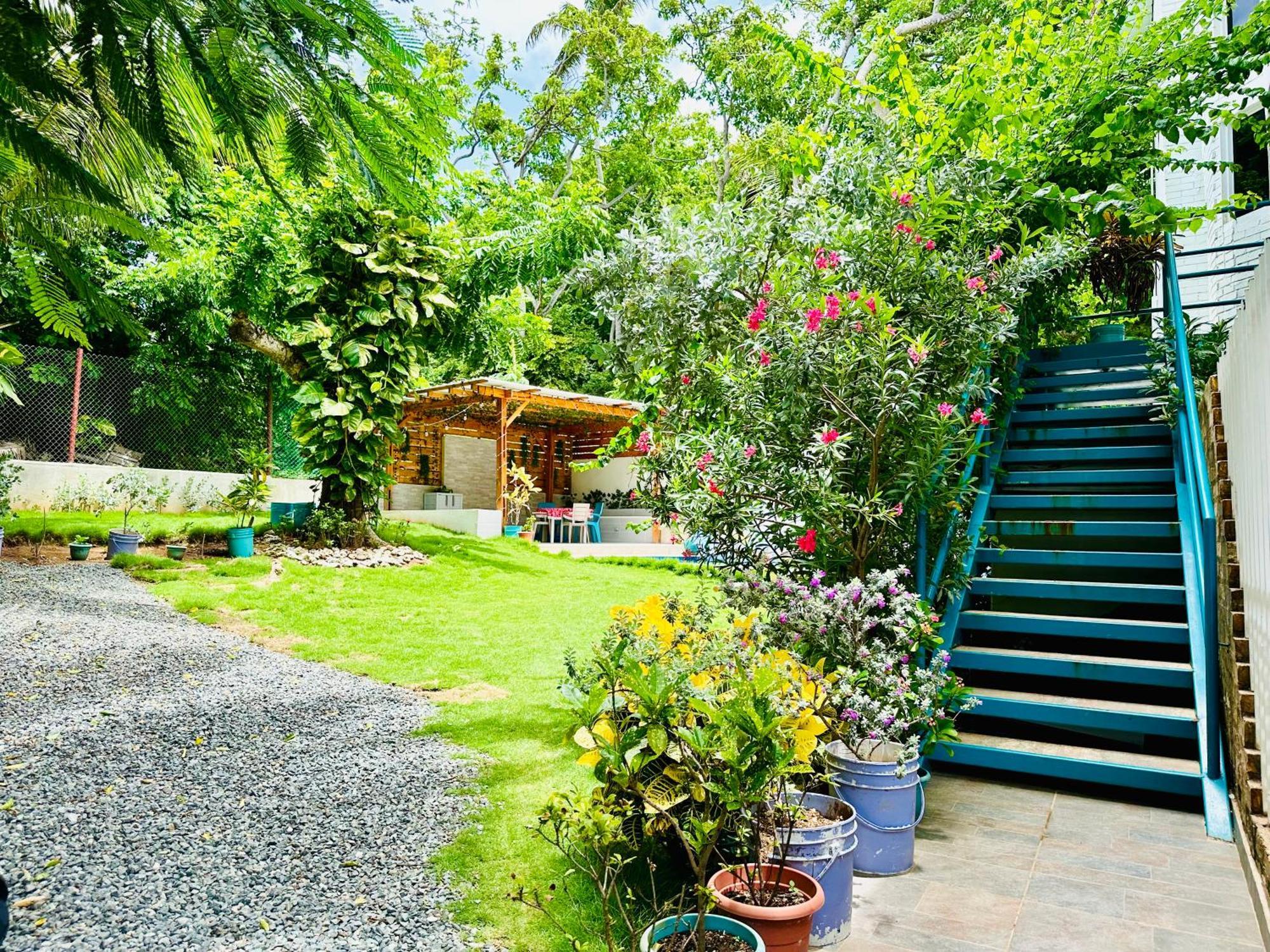 Inn Palmare House San Andrés