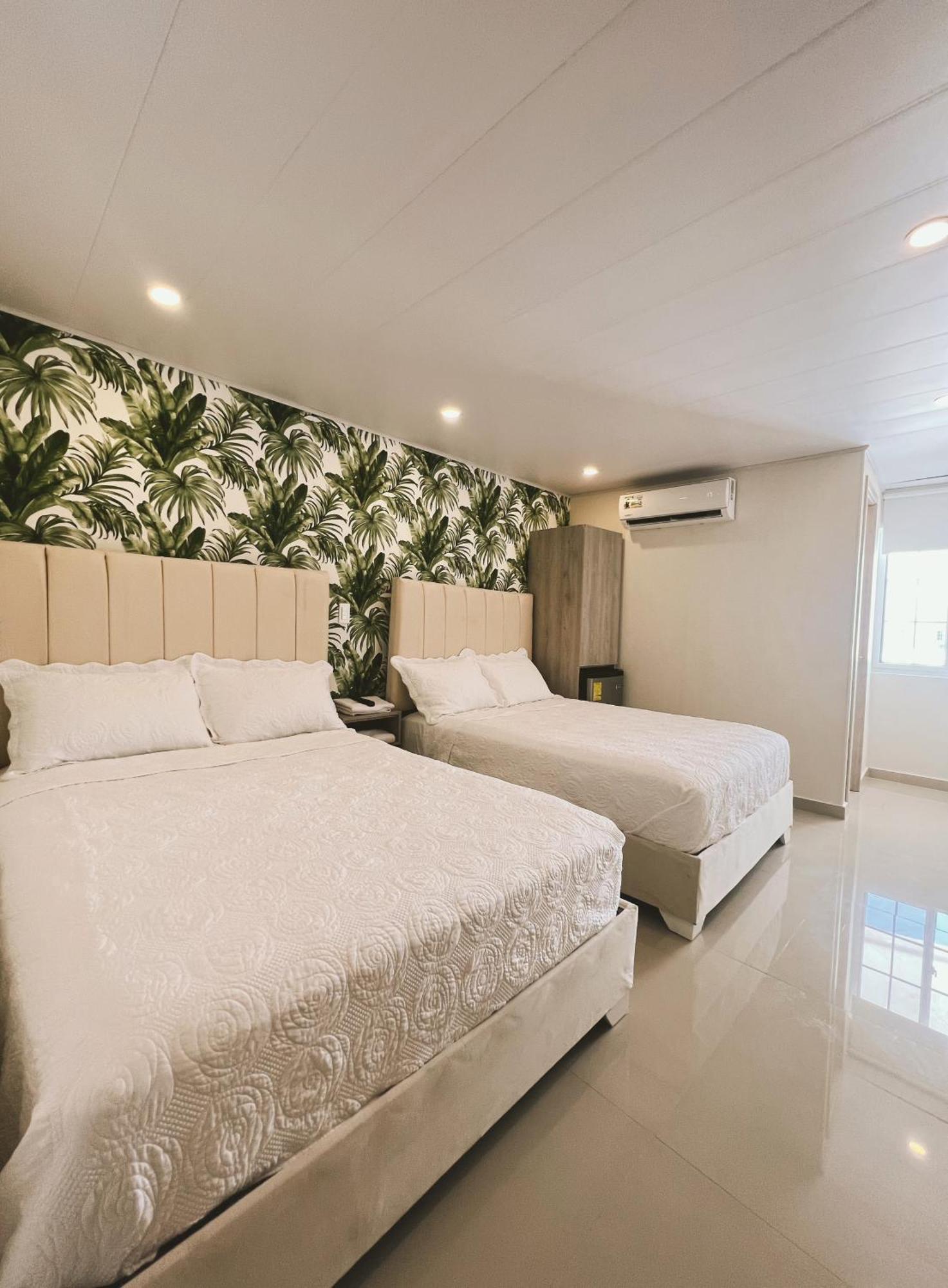 Oasis 3*