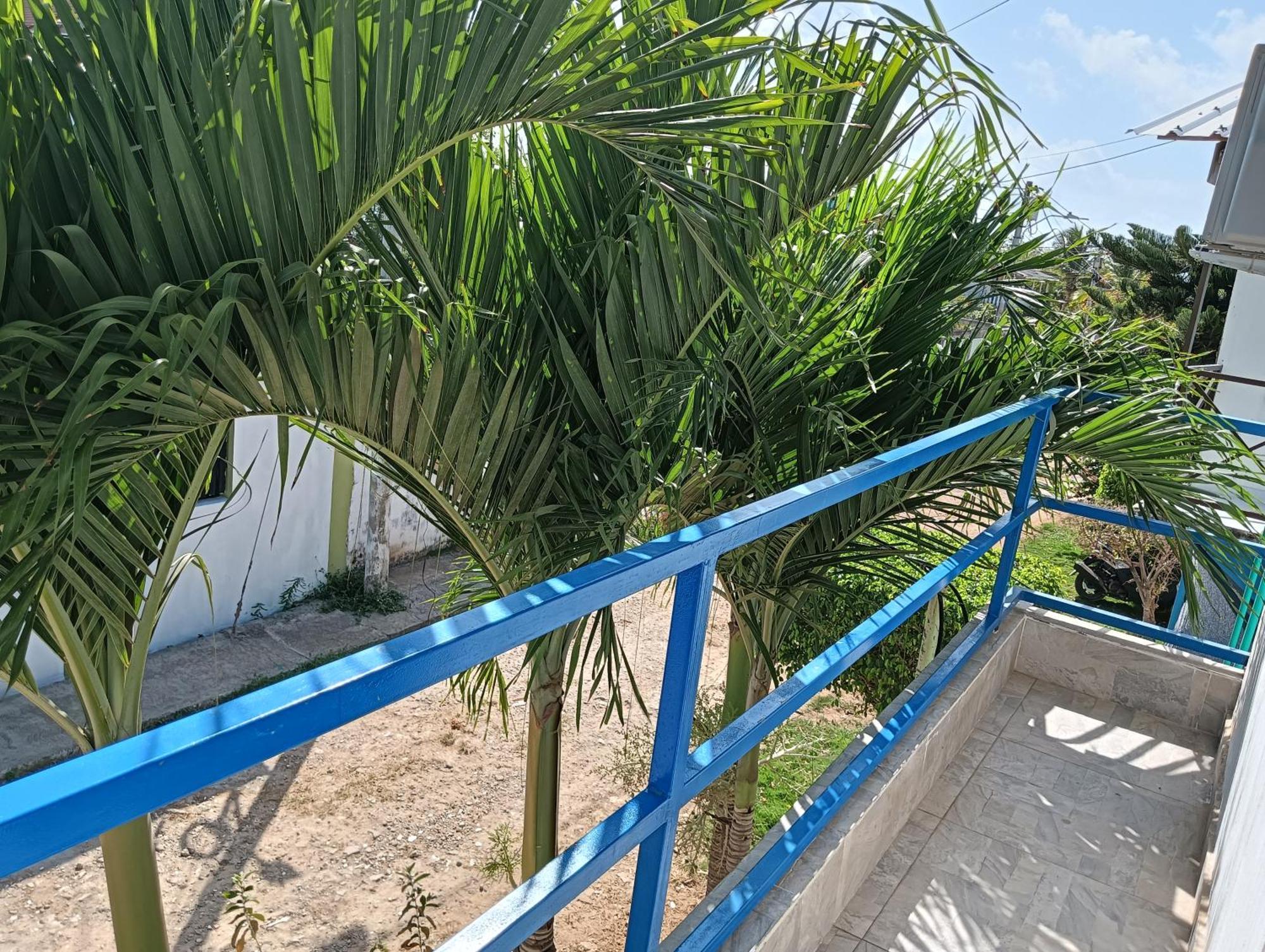 Apartamento Rocky Palms