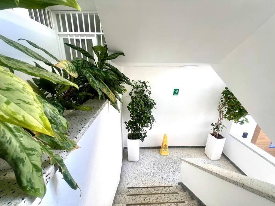 Edificio Calima Apartment *