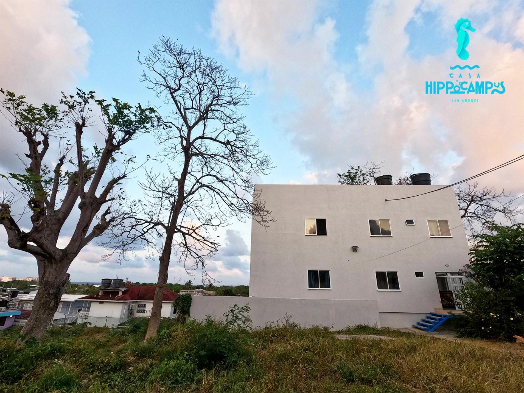 Sukha Hippocampus Isla