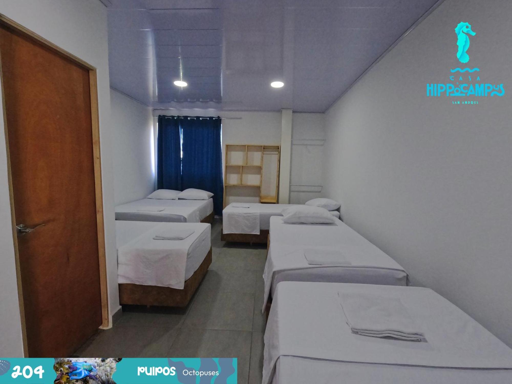 Bed & Breakfast Sukha Hippocampus Isla