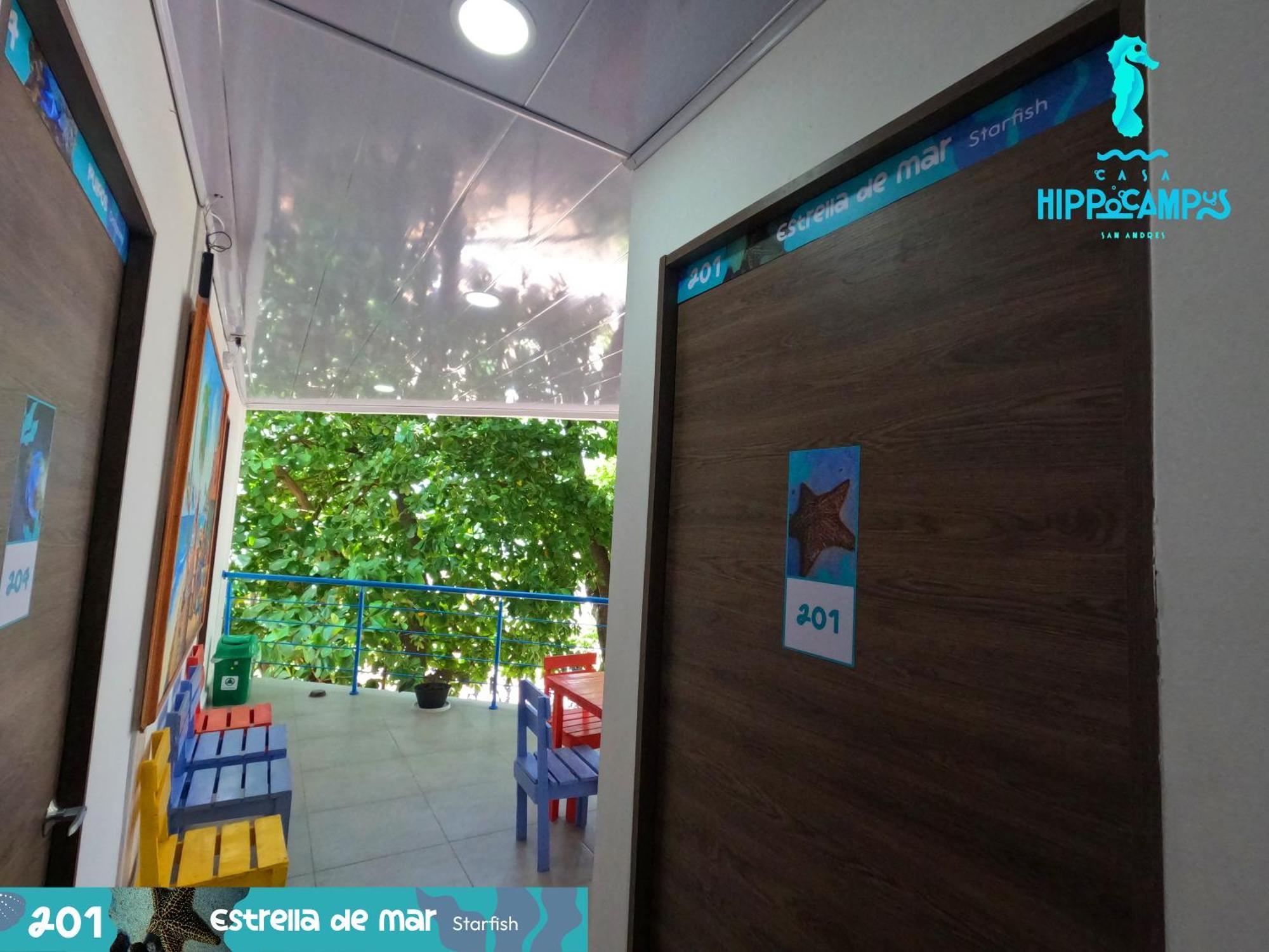 Sukha Hippocampus Isla *