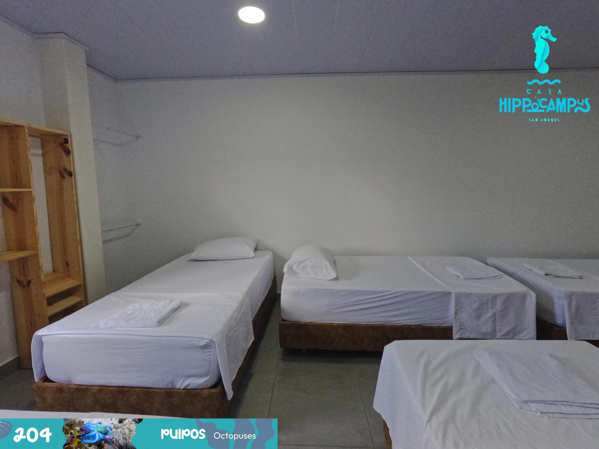 Sukha Hippocampus Isla Bed & Breakfast *