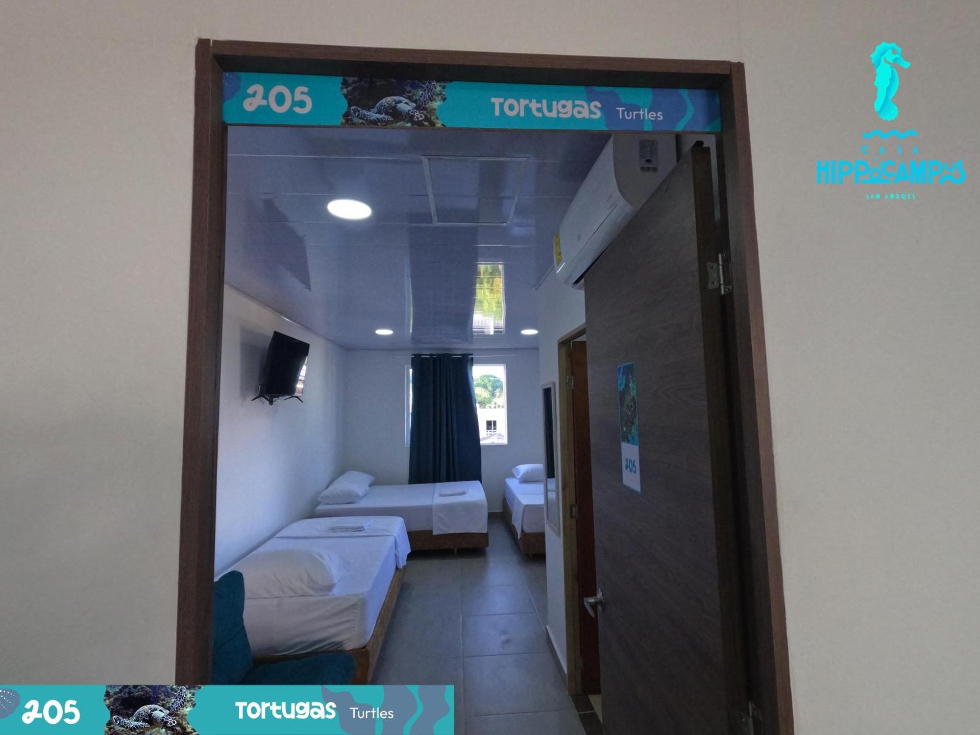 Sukha Hippocampus Isla Bed & Breakfast