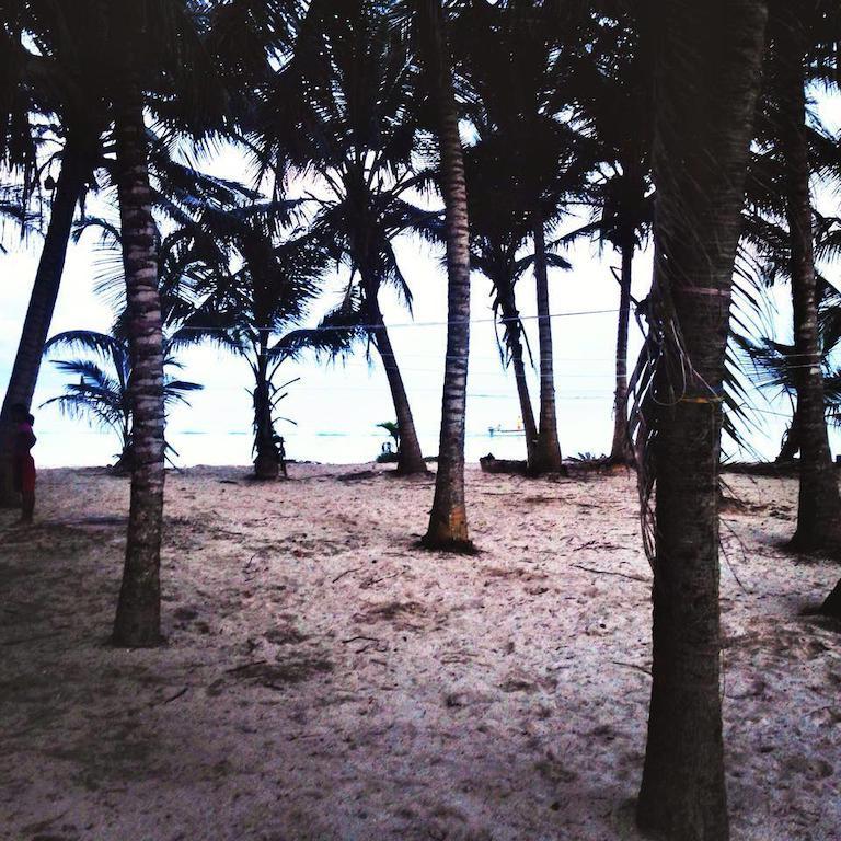 Zippy's Sea View