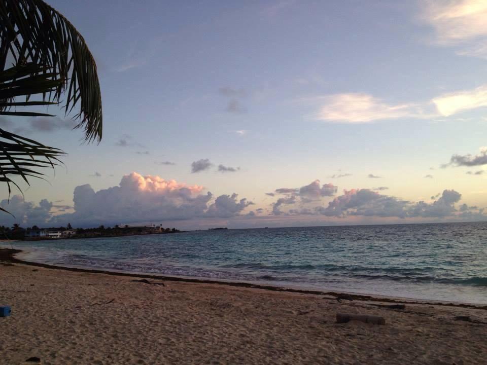 Apartamento Zippy's Sea View *