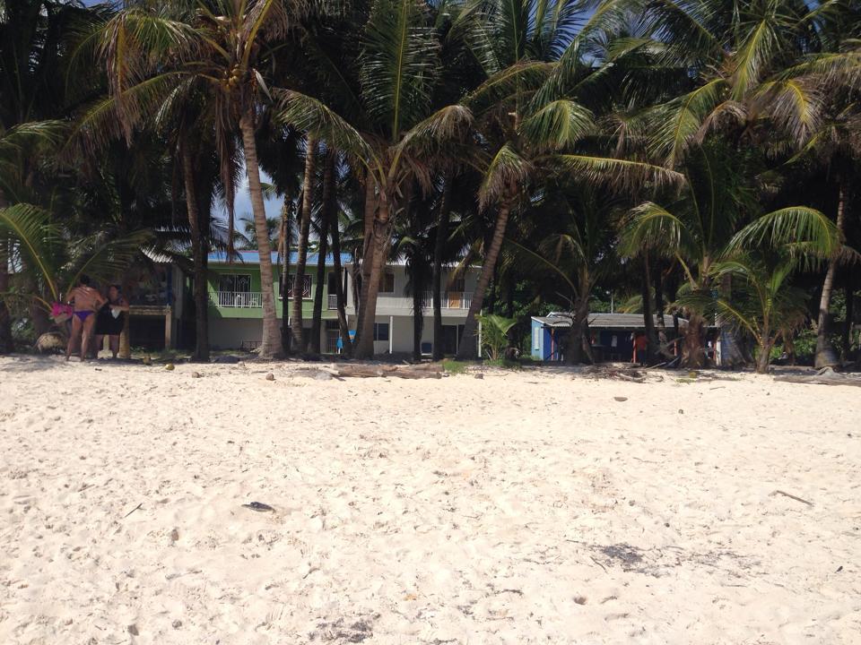 Apartamento Zippy's Sea View *