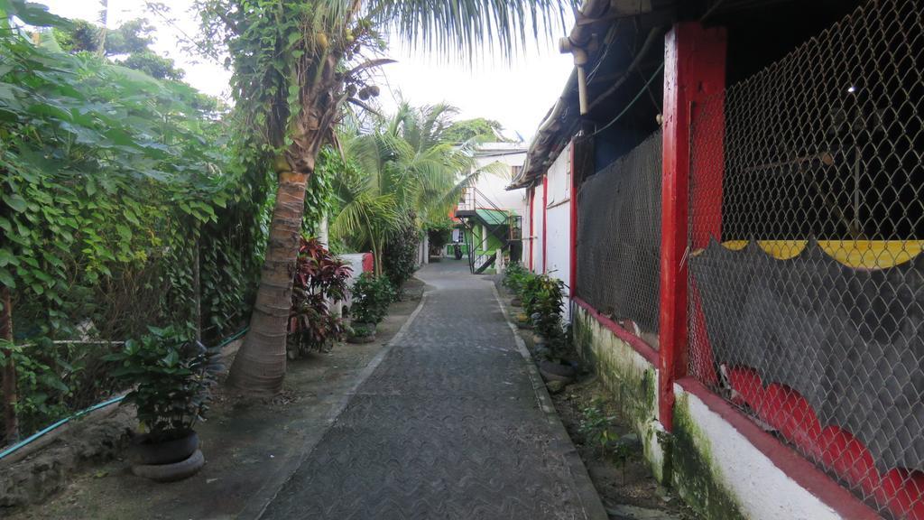 Guest house Posada J&J Forbes - 2