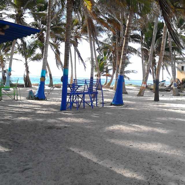 Zippy's Sea View