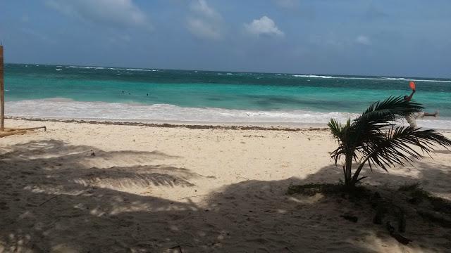 Zippy's Sea View Apartamento *