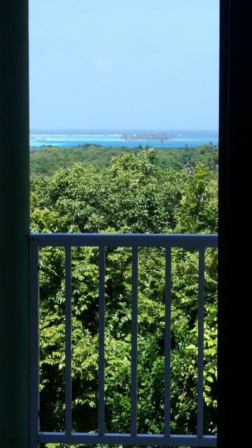 Orange Hill House Guest house