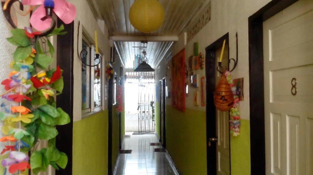 Nativa Trinsan Centro San Andrés