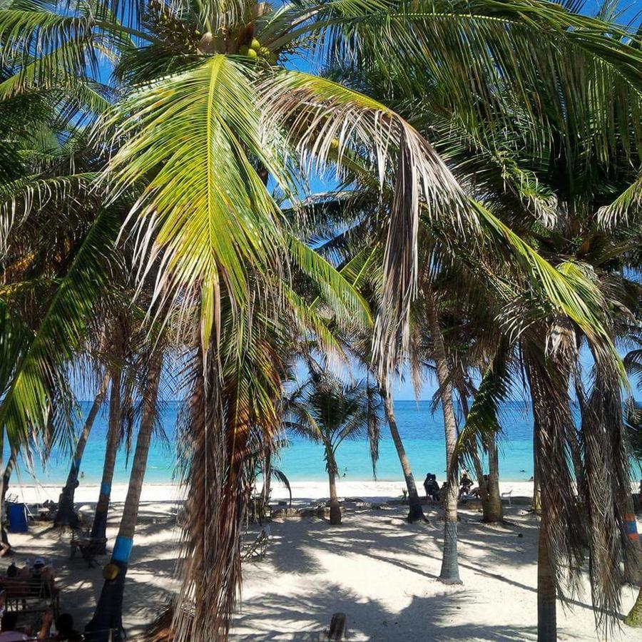 Zippy's Sea View San Andrés