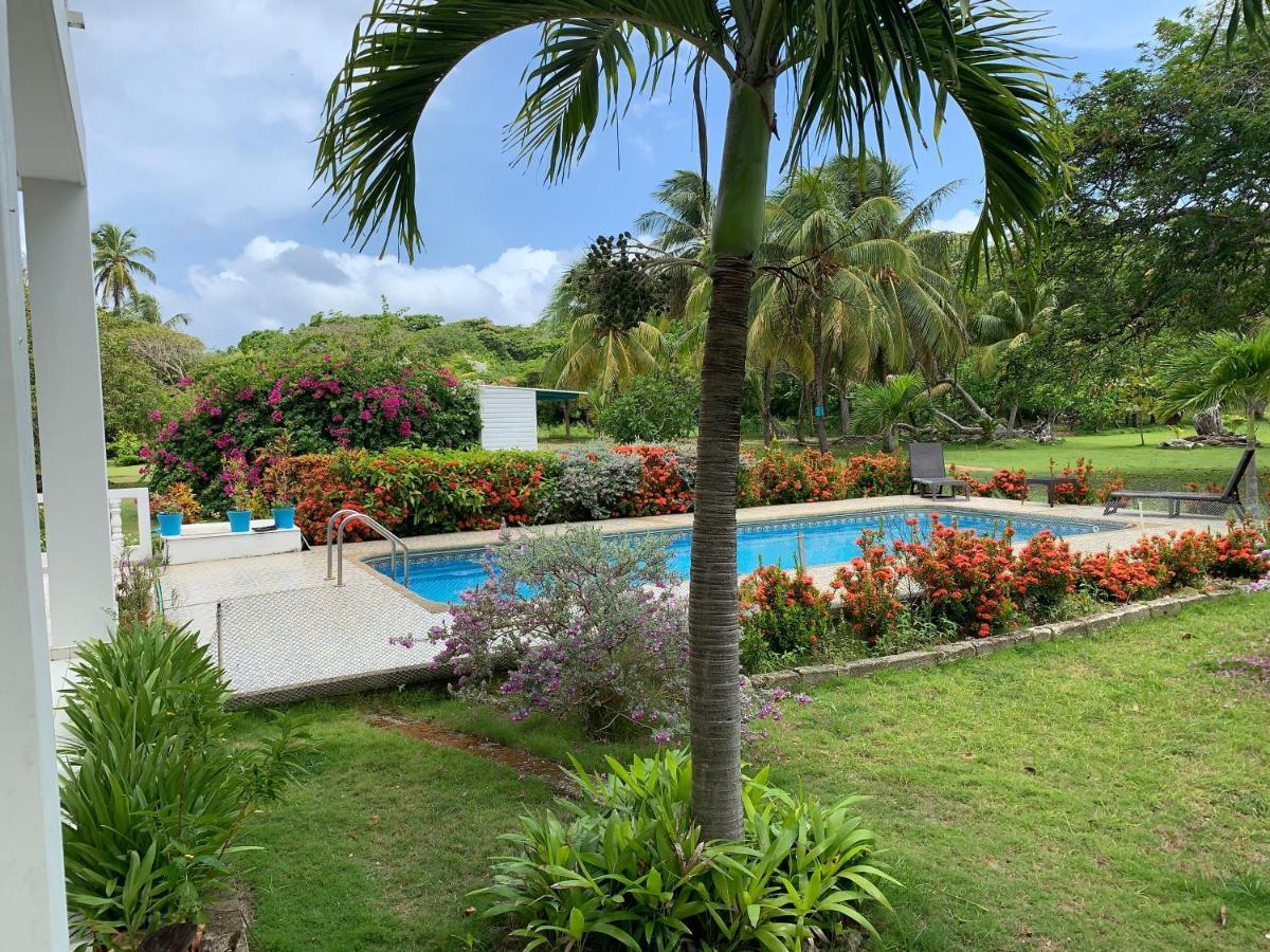 Villa Tropical Garden