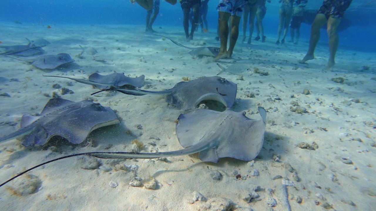 Marmows Place * San Andrés