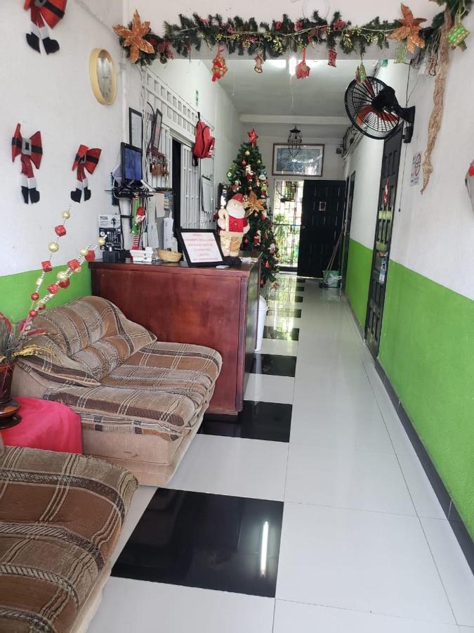 Hostal Nativa Trinsan Centro
