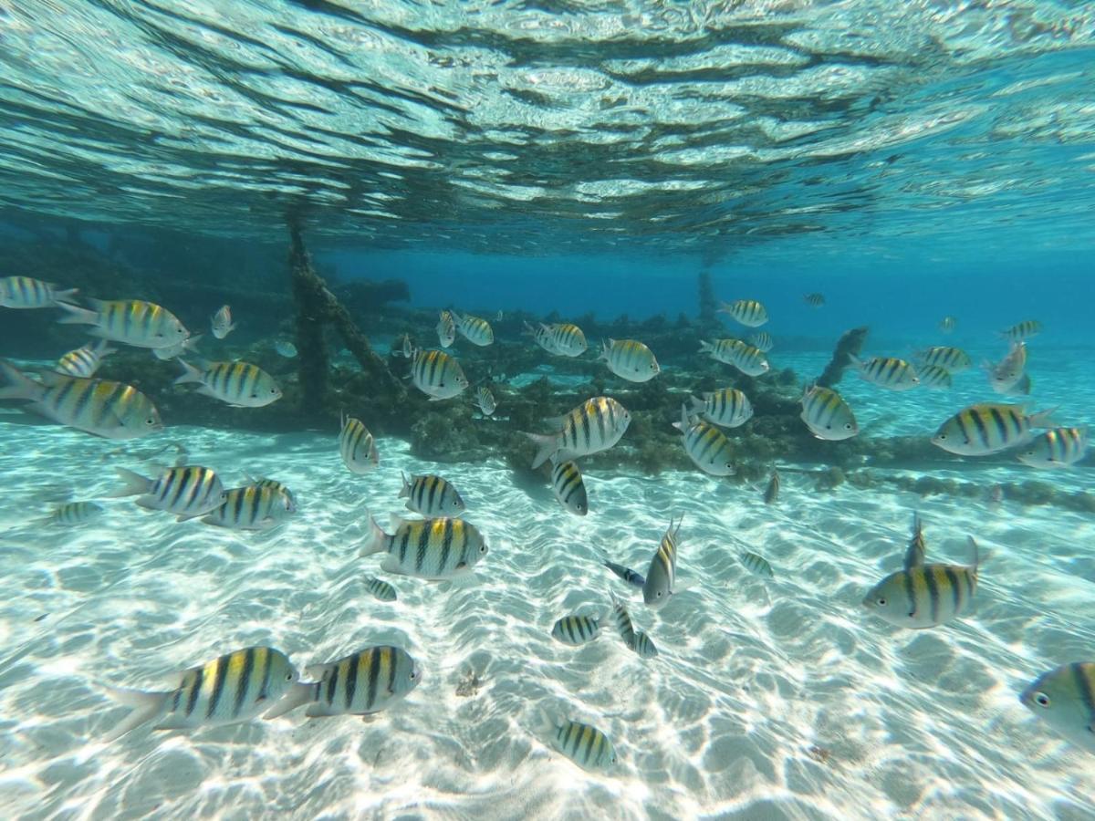 Casa Ingrid * San Andres (San Andres and Providencia Islands)