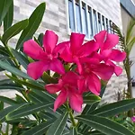 Apartamentos Villa Fatmi