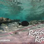 Hostal Ragga Ragga