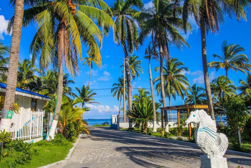 On Vacation Sea Horse Hotel San Andrés