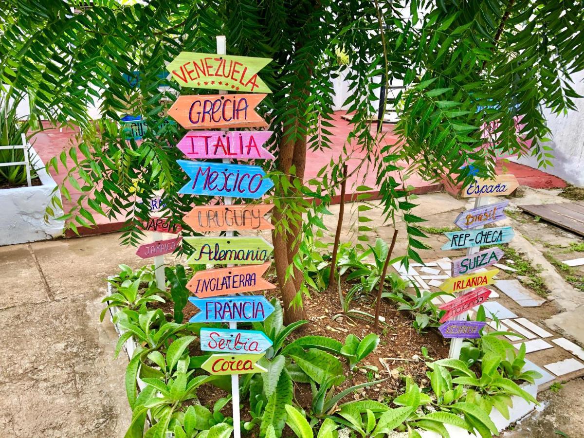 Neca San Andrés