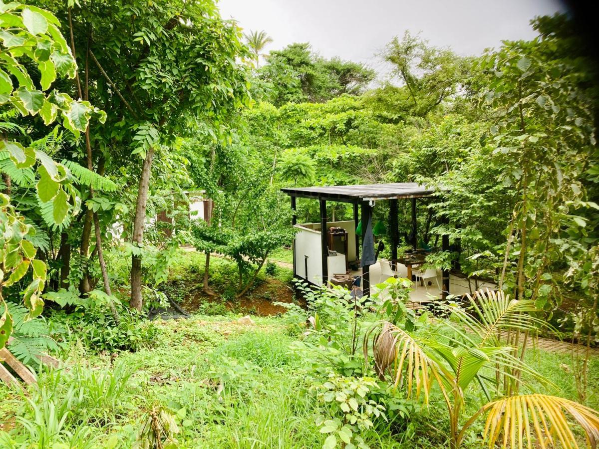 Irie Town Campsite