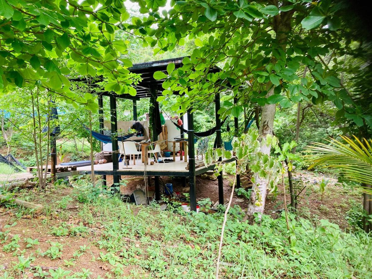 Campsite Irie Town *