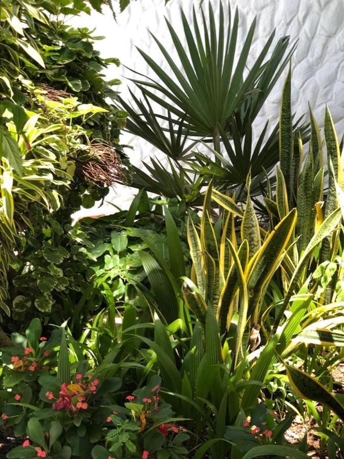 Hotel Le Castel Blanc Boutique 4*