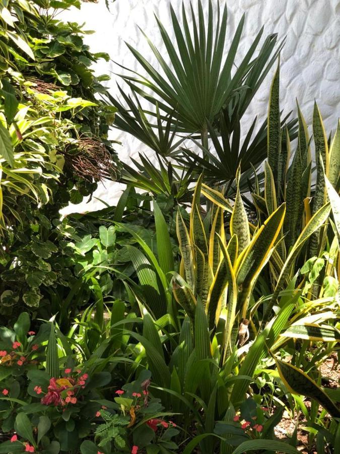Hotel Le Castel Blanc Boutique 4*