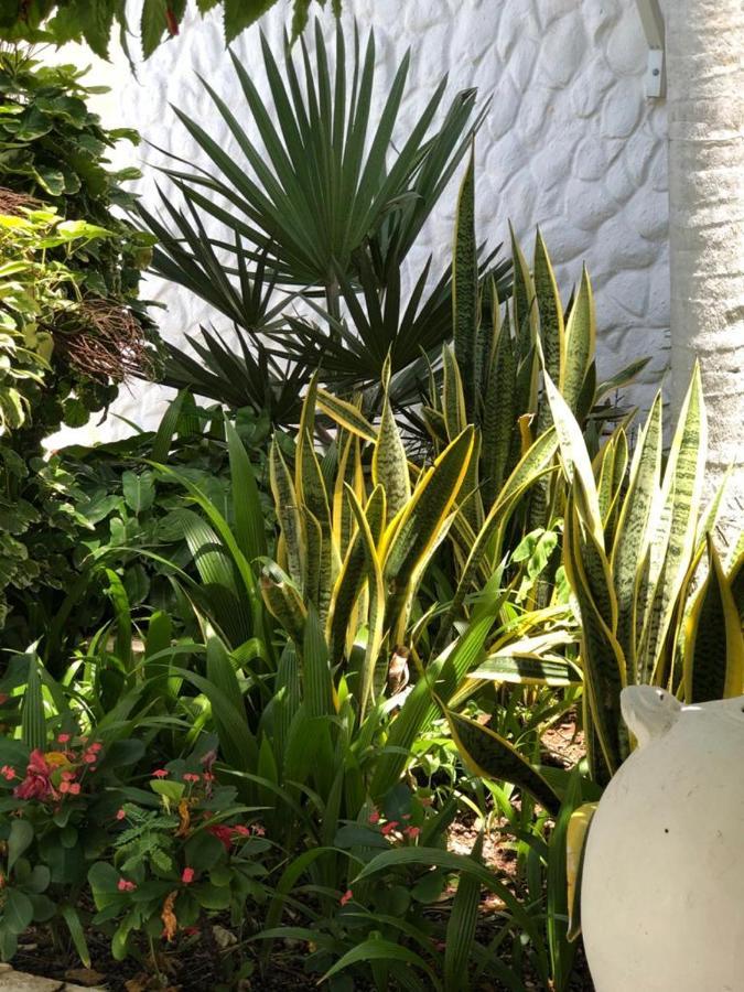 Hotel Le Castel Blanc Boutique