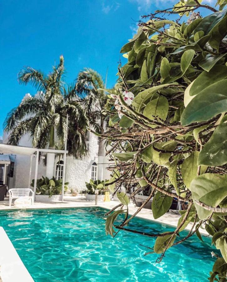 Hotel Le Castel Blanc Boutique San Andrés
