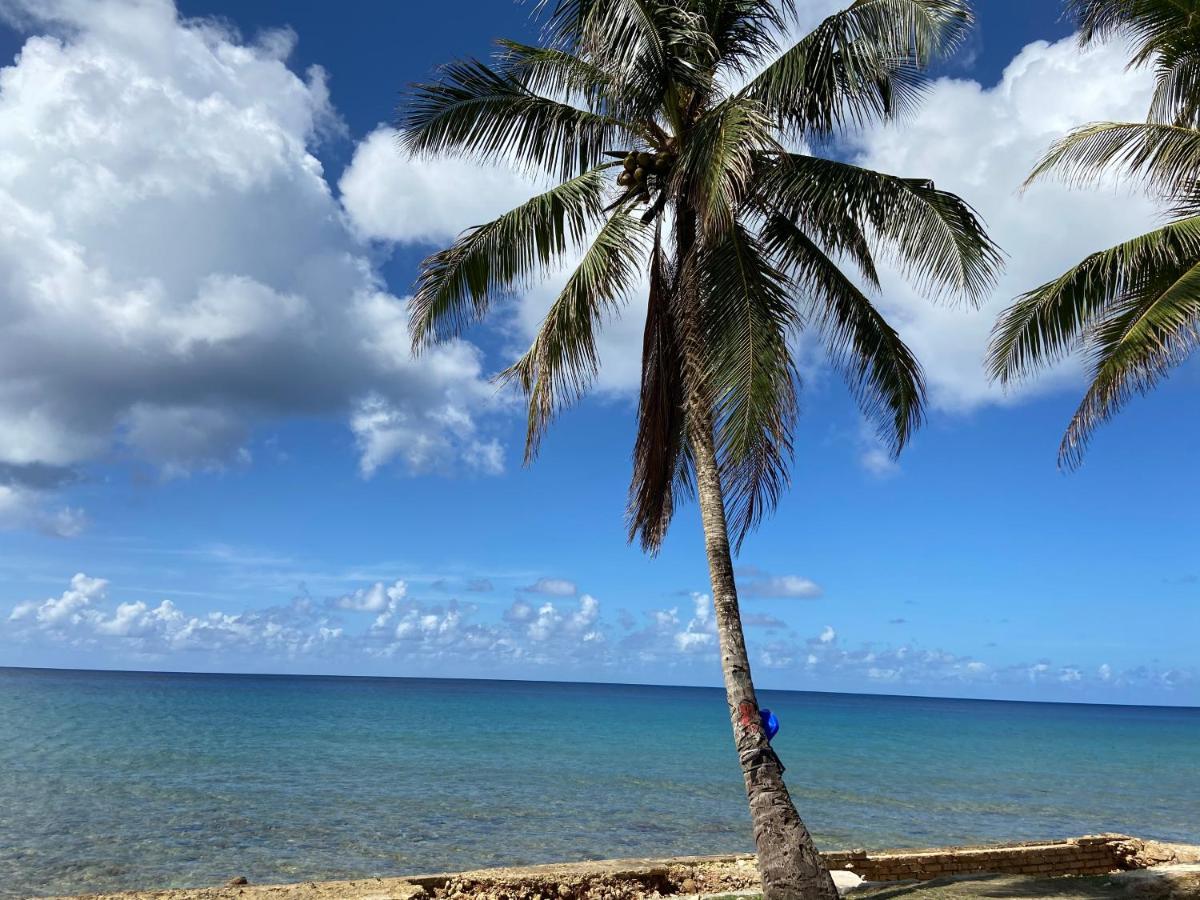 Apartment En El Edificio Hansa Reef - Premier 6 *