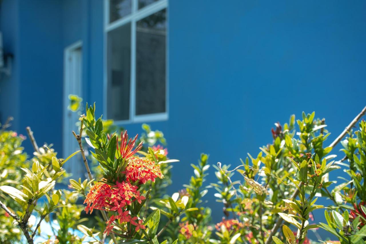 Bed & Breakfast Mahalo House - Tu Casa En Isla - 3*