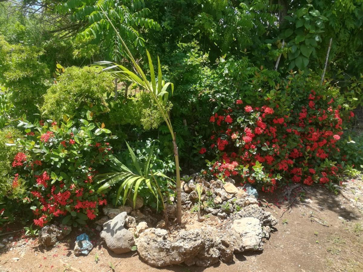 Casa Royal Palm San Andrés